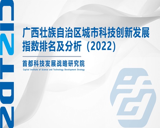 骚货舒服吗插入【成果发布】广西壮族自治区城市科技创新发展指数排名及分析（2022）